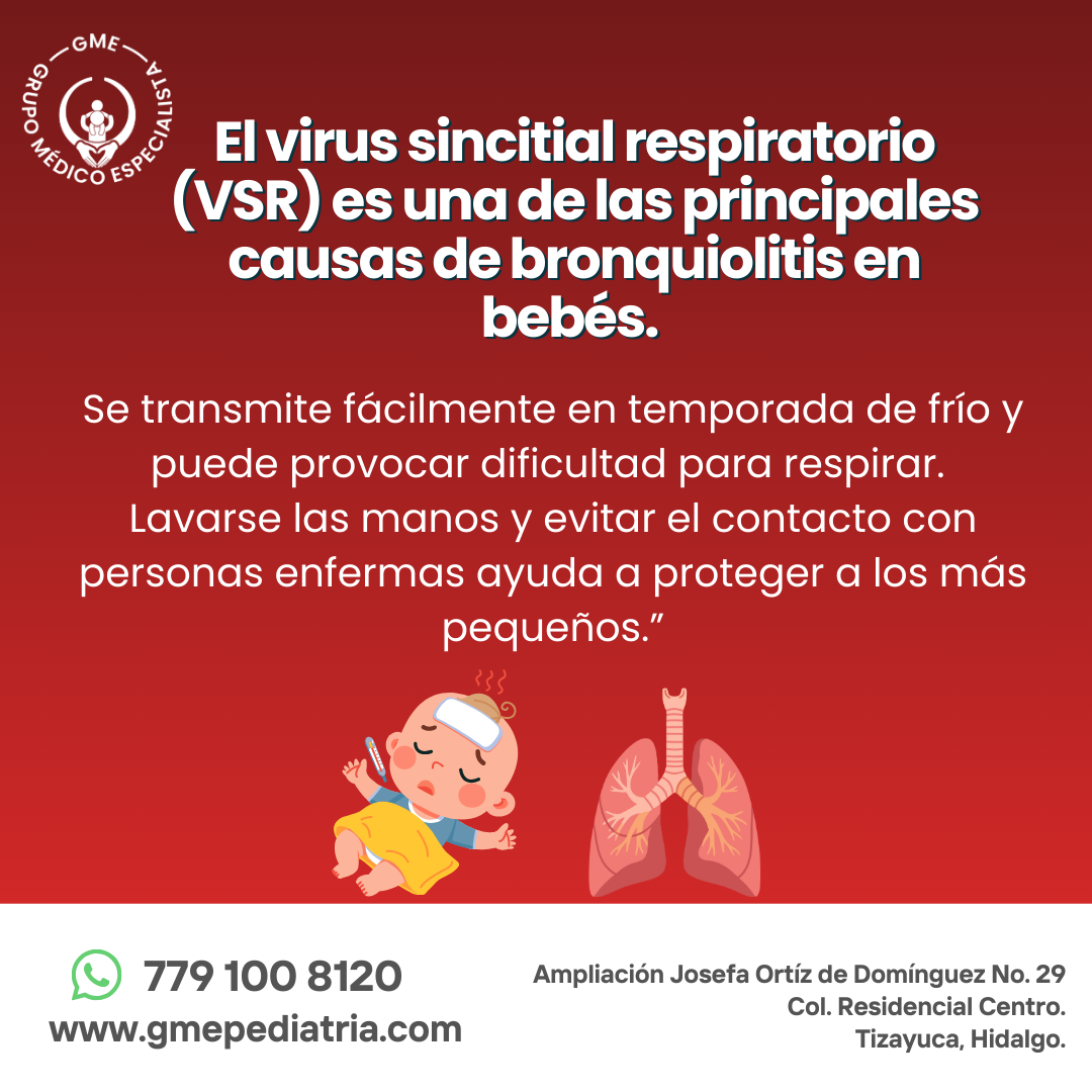 2-.Plantilla GME (11)