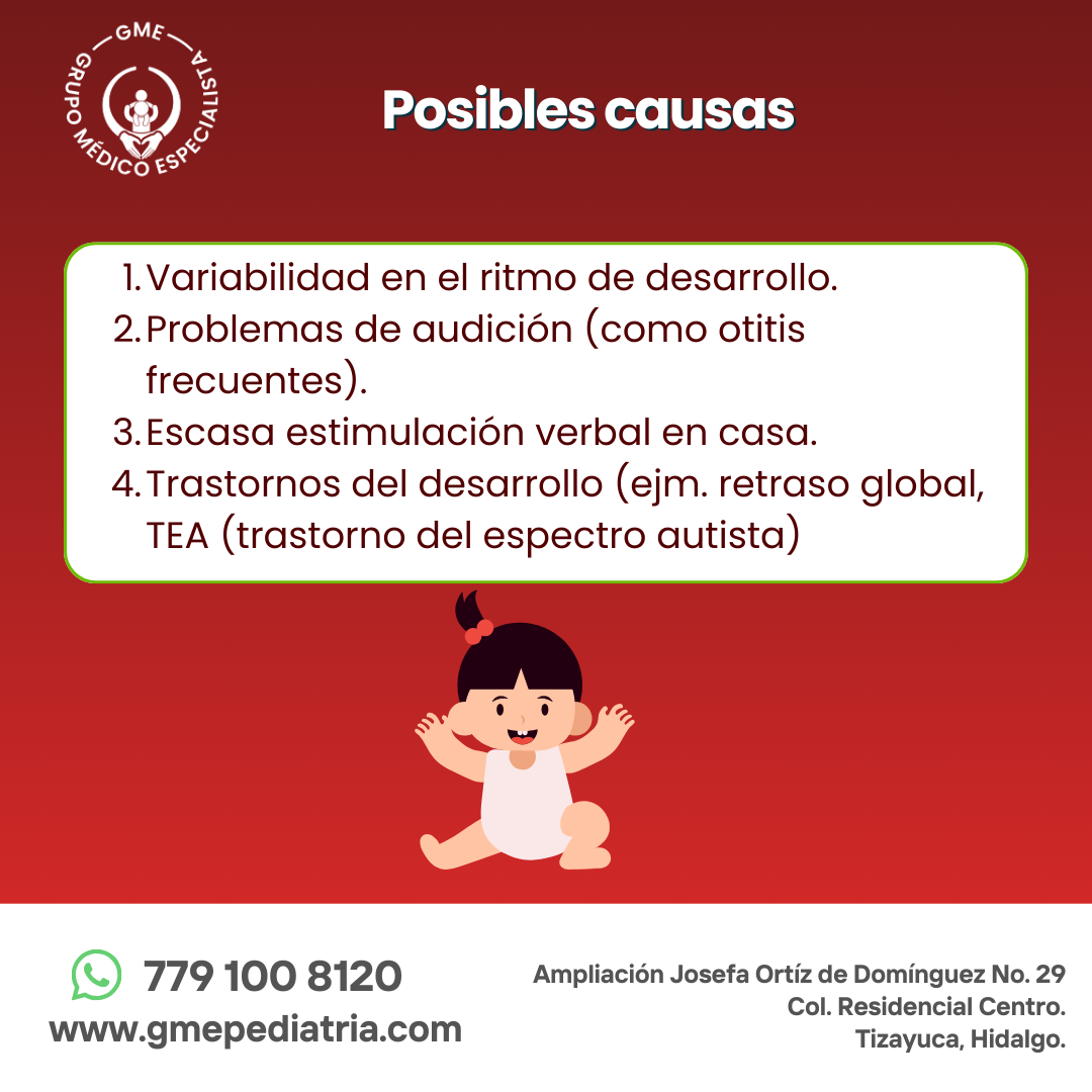 2-.Plantilla GME (7)